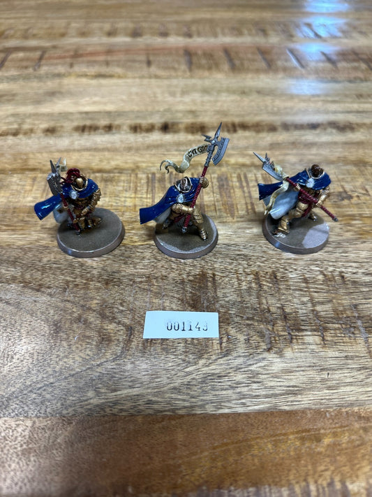 Warhammer Age of Sigmar Praetors Stormcast Eternals Painted 1149